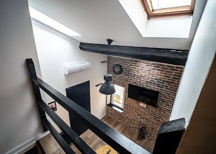 Le Petit Macaron Industriel Hyper Centre 5min Place Stan Insolites Νανσύ