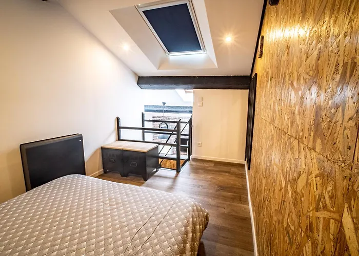 شقة Le Petit Macaron Industriel Hyper Centre 5min Place Stan Insolites نانسي